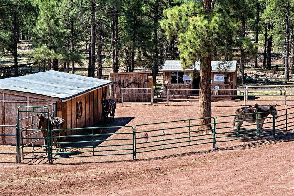 Mountain Ranch Resort At Beacon Hill Williams Eksteriør billede