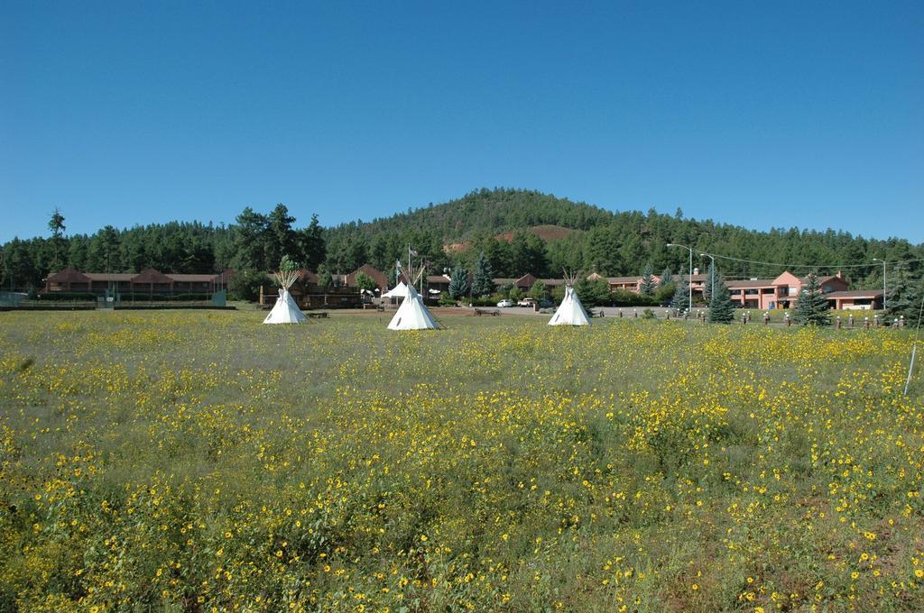 Mountain Ranch Resort At Beacon Hill Williams Eksteriør billede